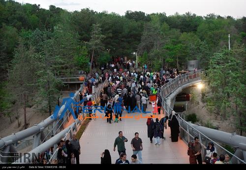  گردش تهرانی ها روی پل طبیعت