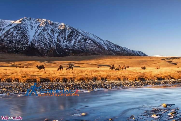 پارک ملی Altai Tavan Bogd، مغولستان